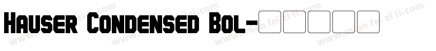 Hauser Condensed Bol字体转换